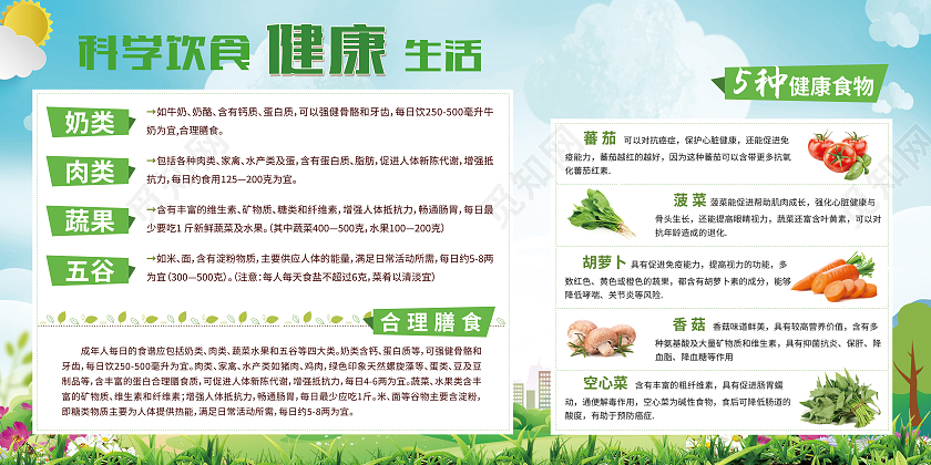 绿色自然有机蔬菜水果科学饮食健康生活宣传栏科学饮食宣传栏