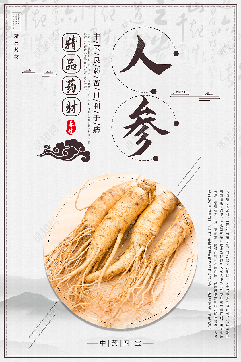 水墨山水中国风精品药材人参海报