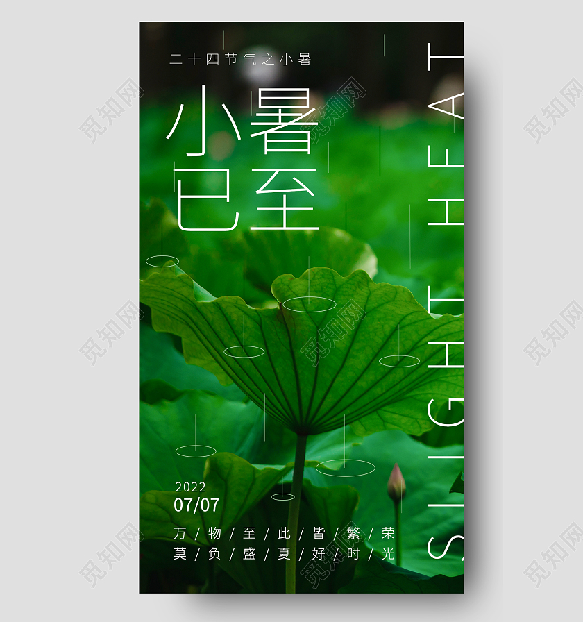 实拍二十四节气荷花小暑文艺手机宣传海报