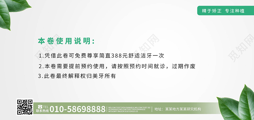 浅灰色创意简洁99元洁牙牙齿保健优惠券洁牙体验代金券