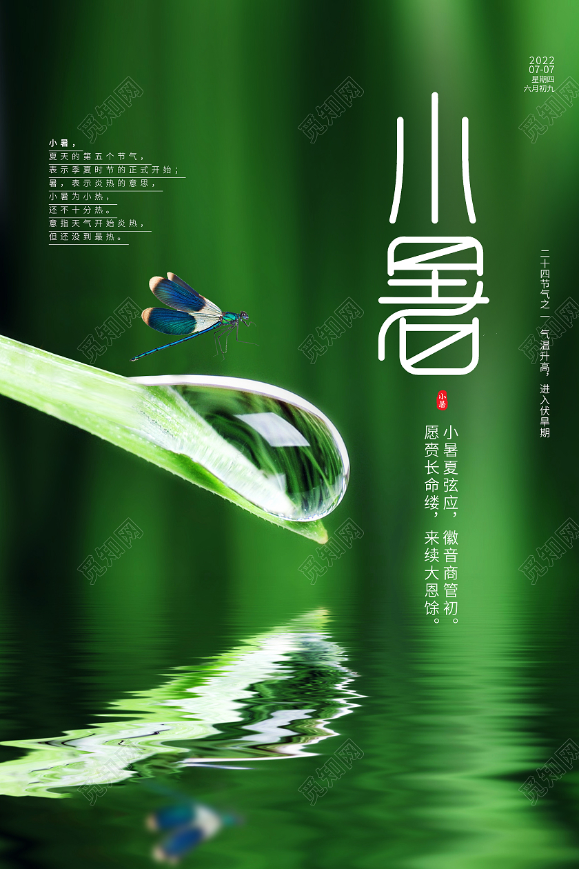 绿色简约小暑二十四节气小暑节日海报