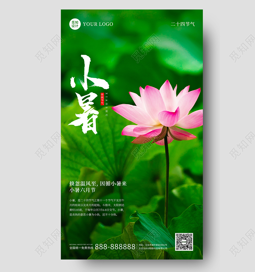 墨绿色实拍摄影荷叶夏季小暑时节海报