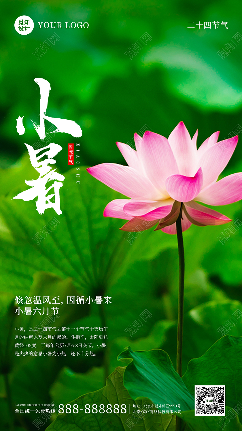 墨绿色实拍摄影荷叶夏季小暑时节海报