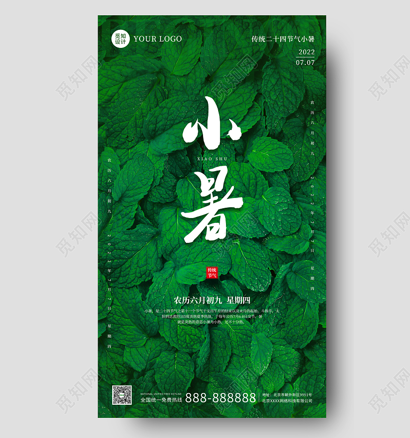 绿色荷叶实拍简约大气小暑时节海报