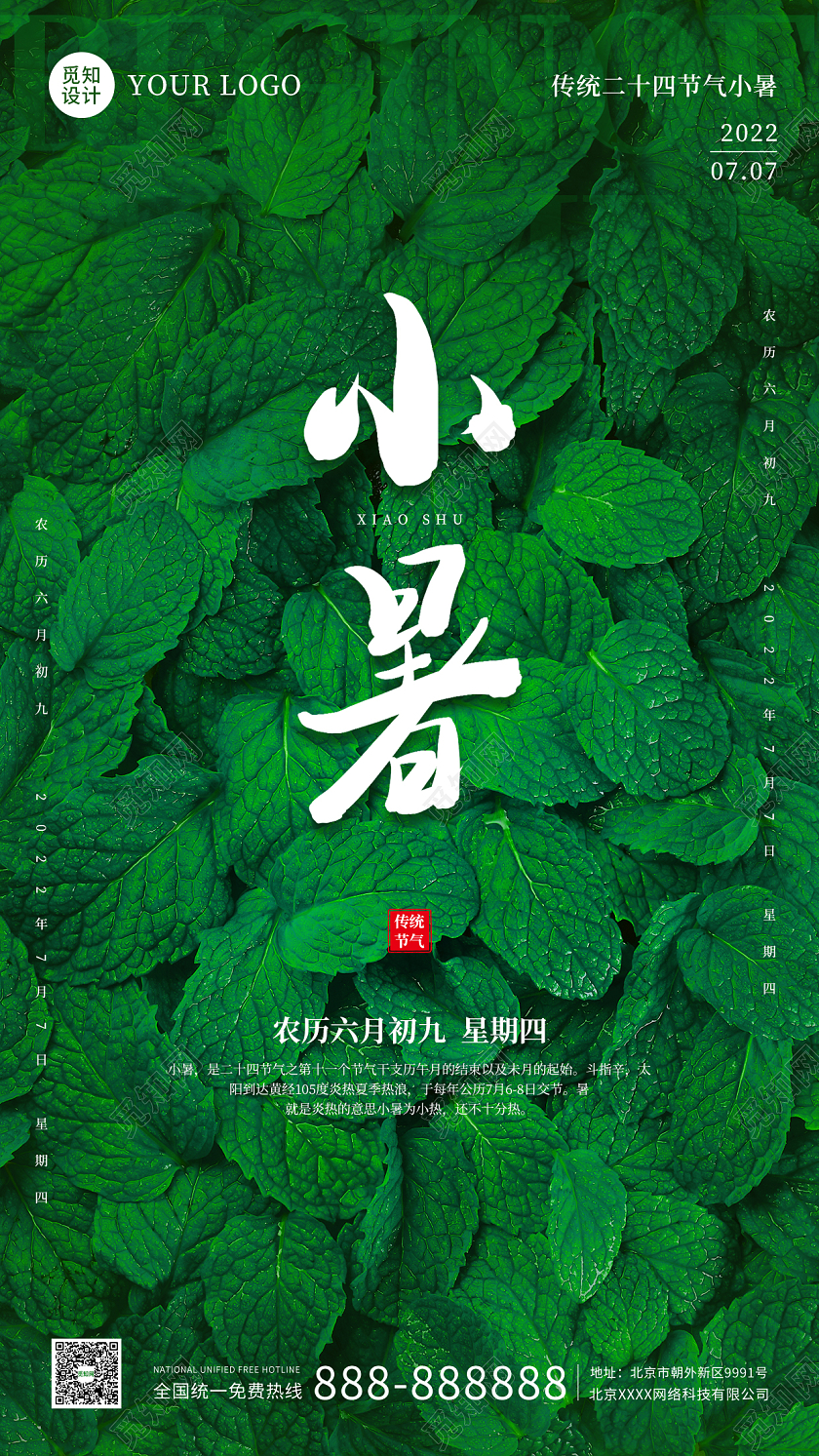 绿色荷叶实拍简约大气小暑时节海报