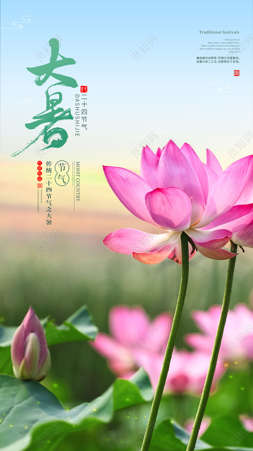 大暑节气二十四节气手机海报