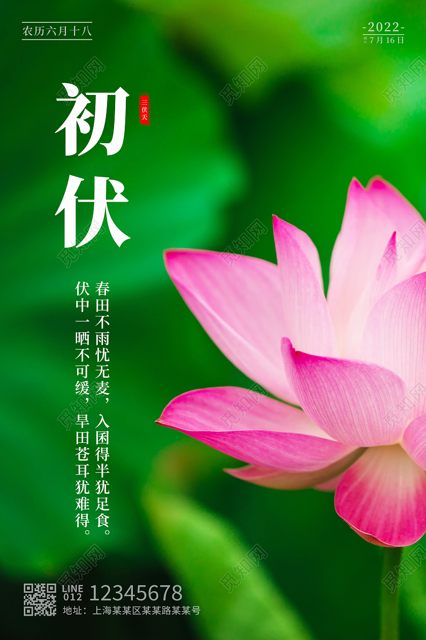 绿色简约初伏节气海报