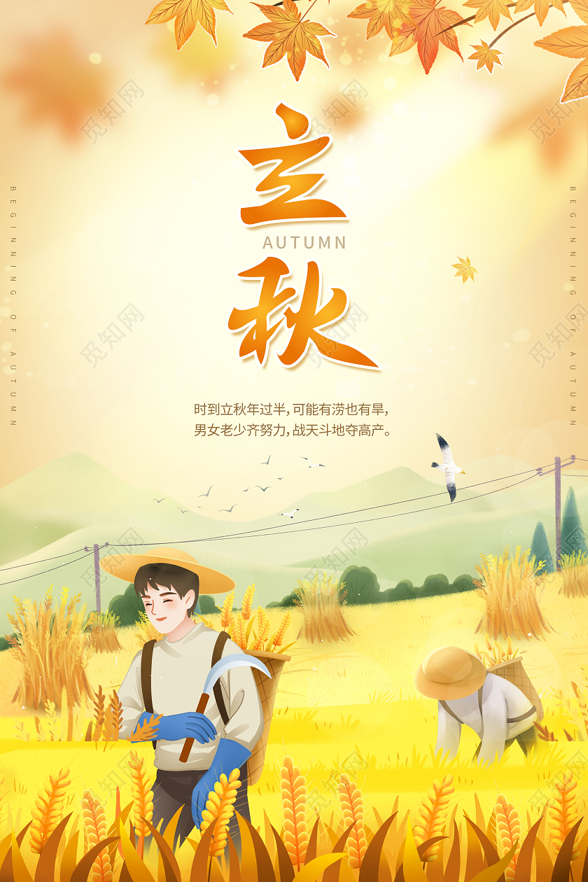 简约立秋时节二十四节气立秋海报