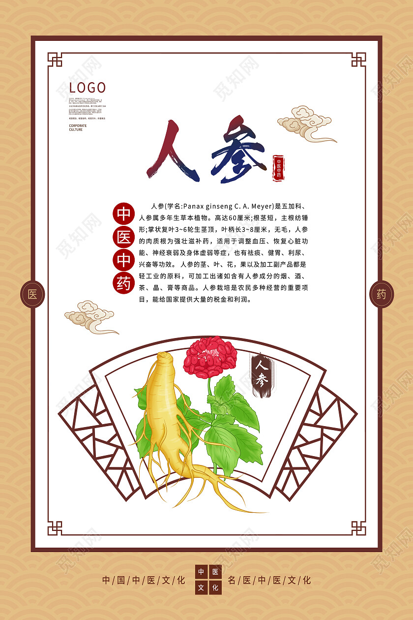 黄色简约人参中医中药人参海报