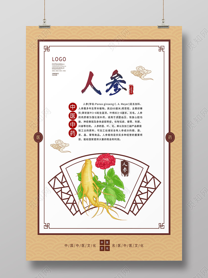 黄色简约人参中医中药人参海报