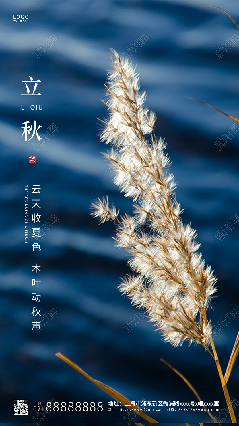 蓝色简约立秋传统节气ui手机海报