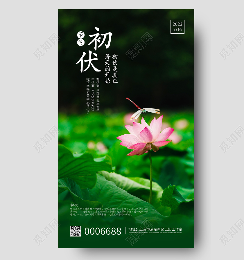 绿色简约初伏节气宣传手机海报