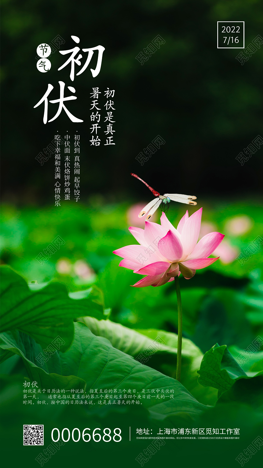 绿色简约初伏节气宣传手机海报