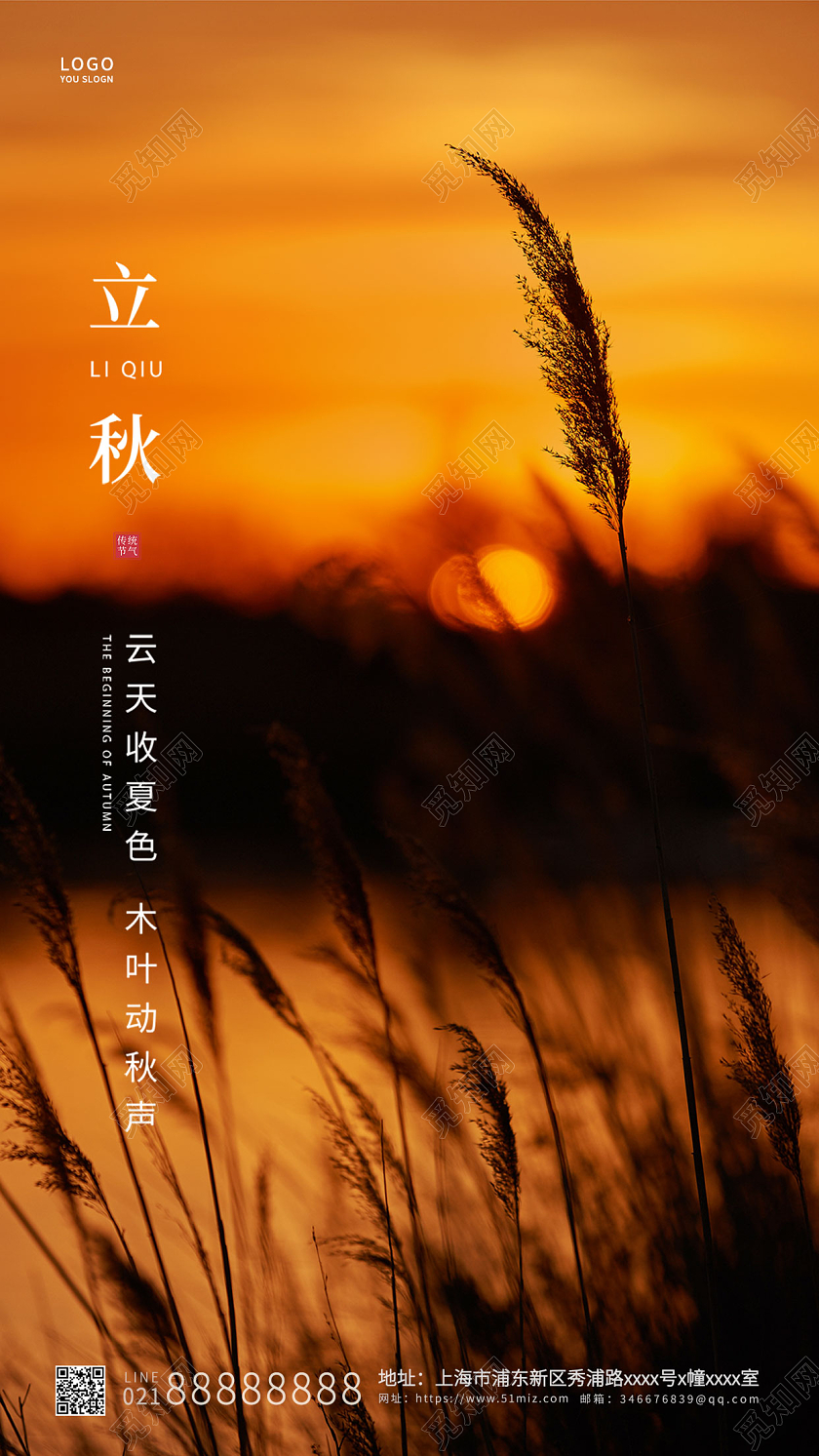 黄色简约立秋传统节气ui手机海报