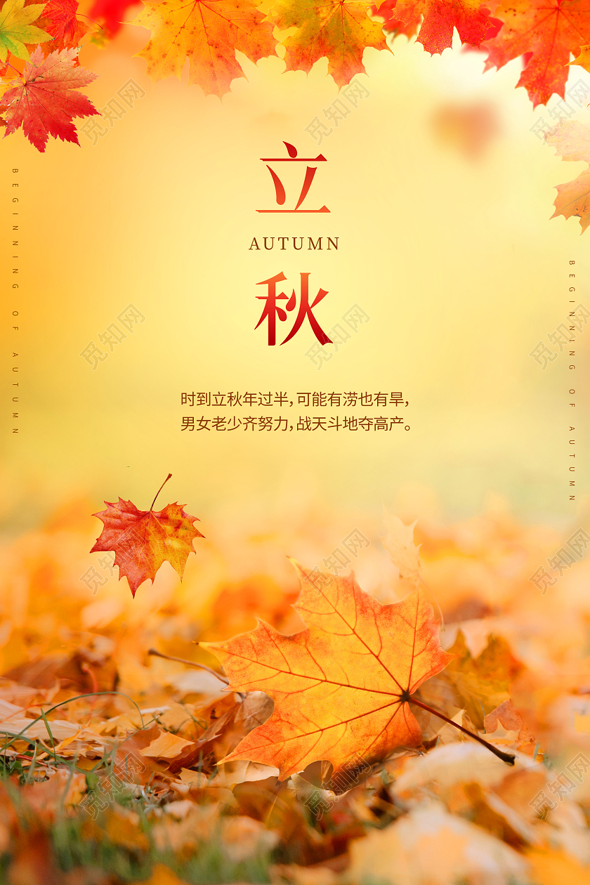 创意立秋二十四节气海报