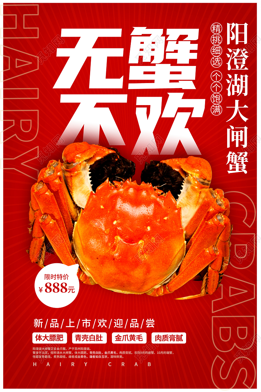 红色时尚无蟹不欢大闸蟹促销海报设计阳澄湖大闸蟹