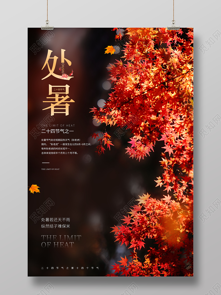 创意处暑节气处暑二十四节气海报