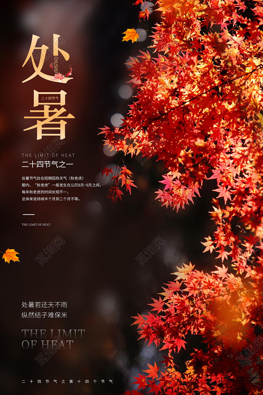 创意处暑节气处暑二十四节气海报