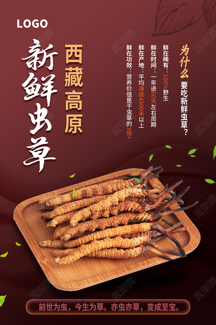 红色简约西藏高原新鲜虫草虫草海报