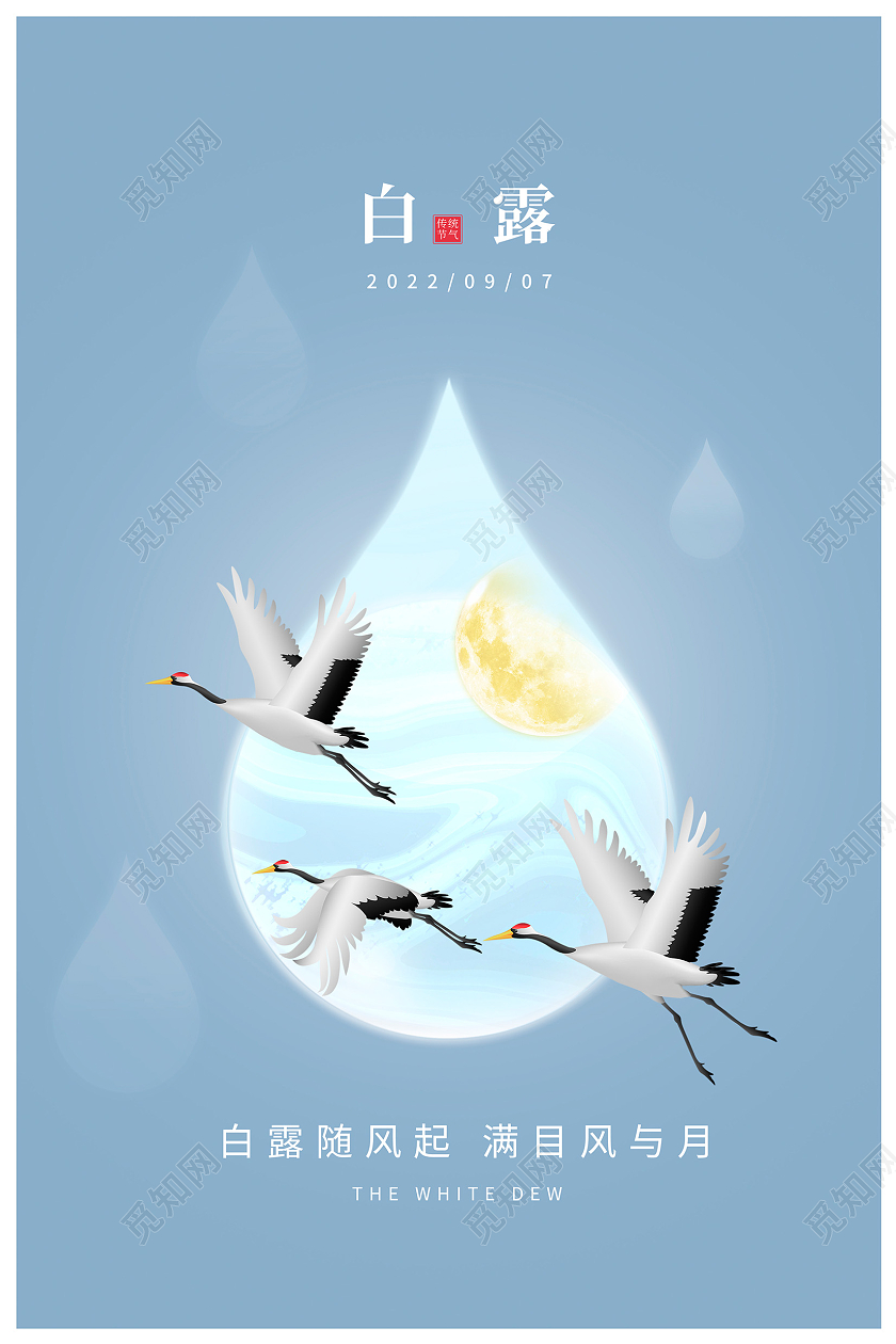 蓝色时尚传统二十四节气白露海报设计