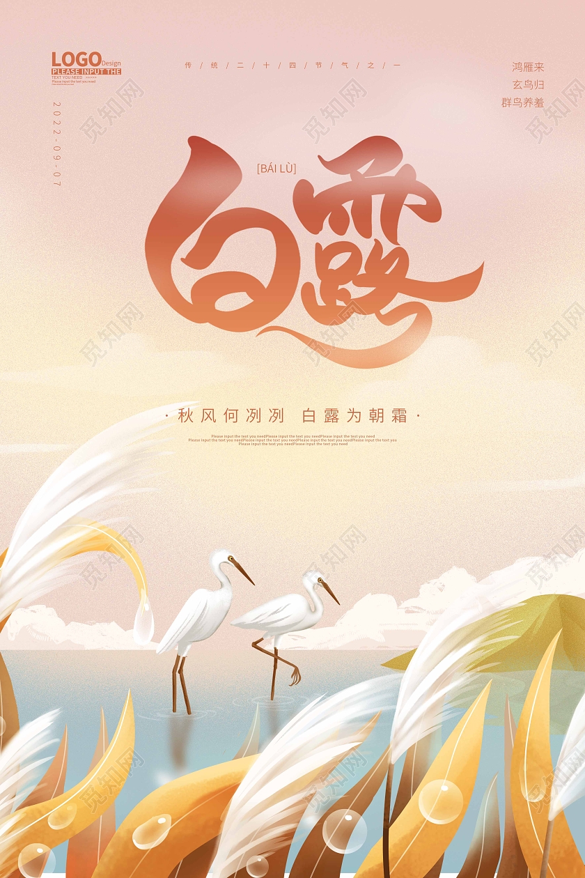 黄色扁平卡通白露节气宣传海报