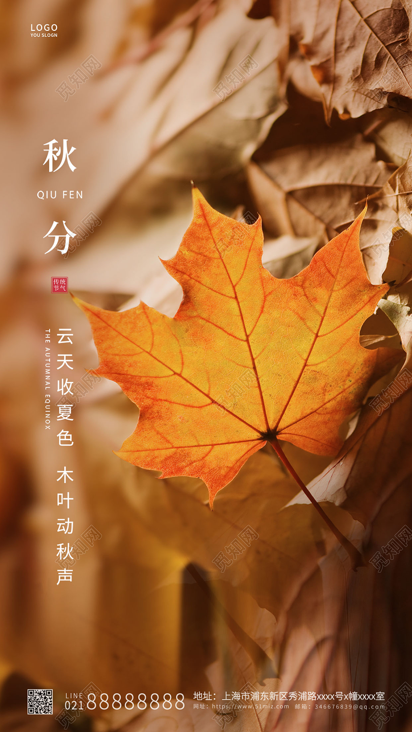 黄色简约秋分传统节气ui手机海报