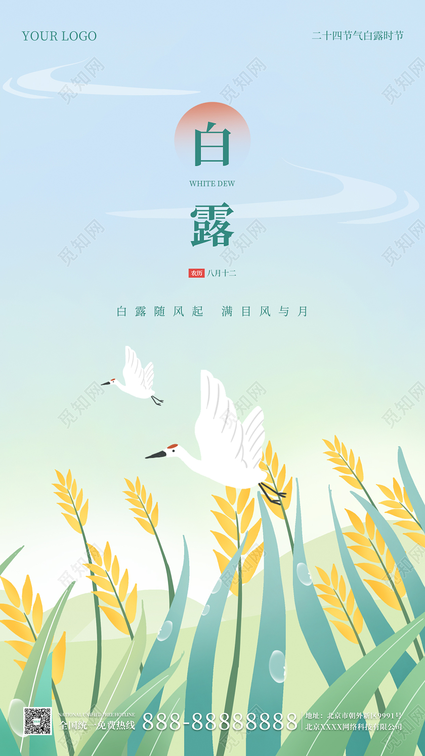 青色插画简约大气白露手机海报