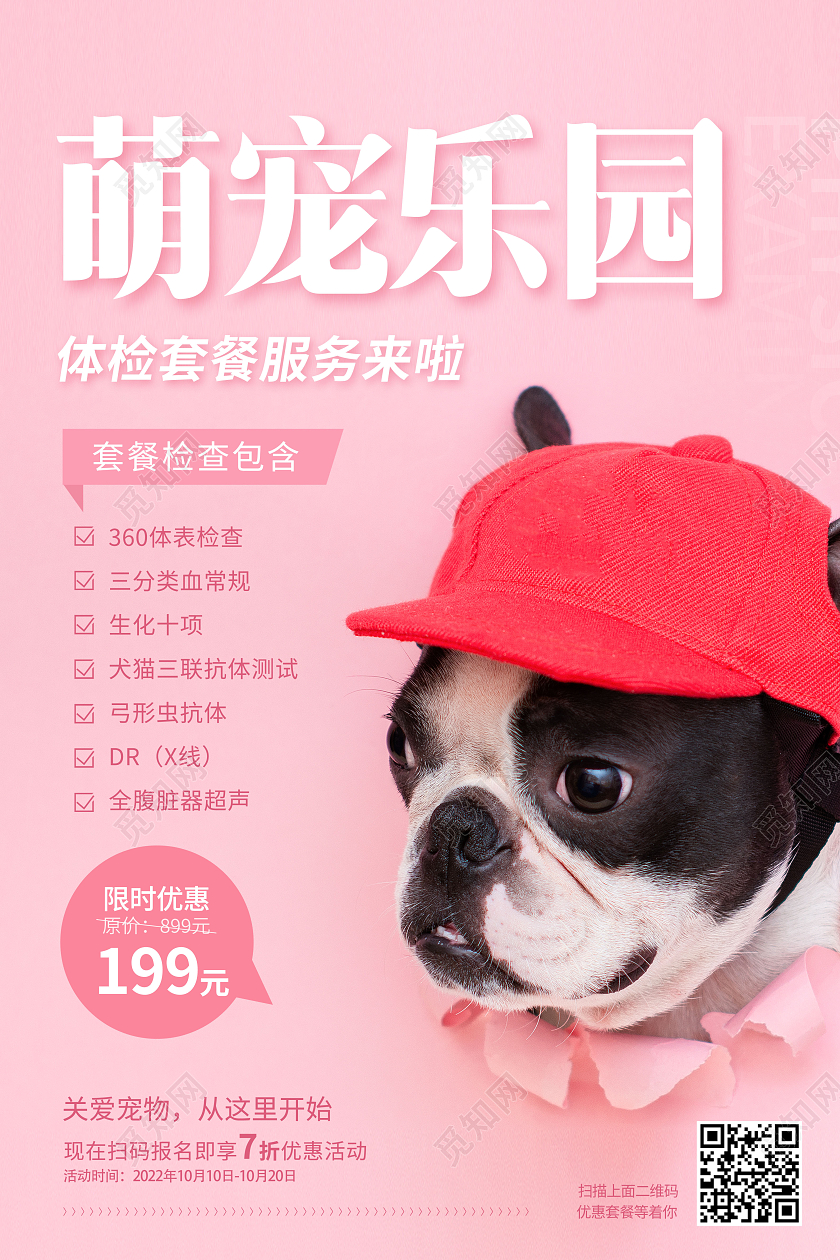 简约宠物洗护宠物萌宠海报