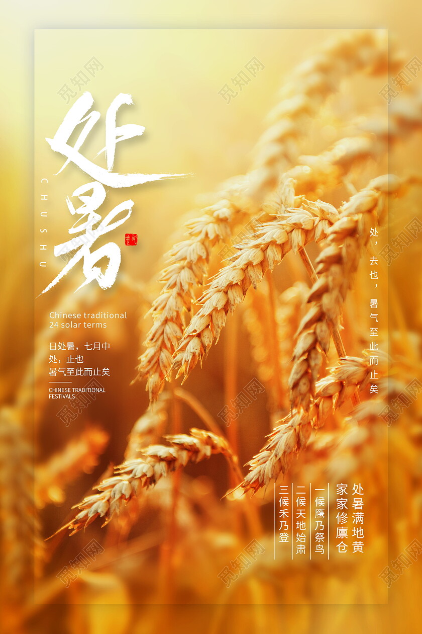 二十四节气处暑宣传海报处暑海报节日