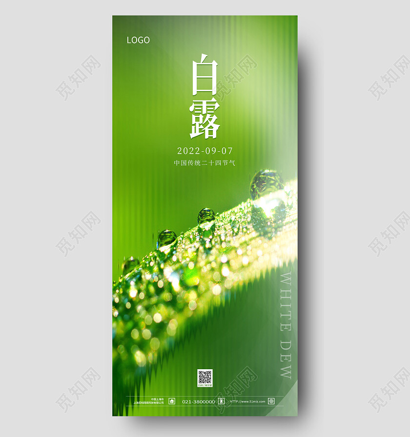 绿色简约白露二十四节气白露海报节日