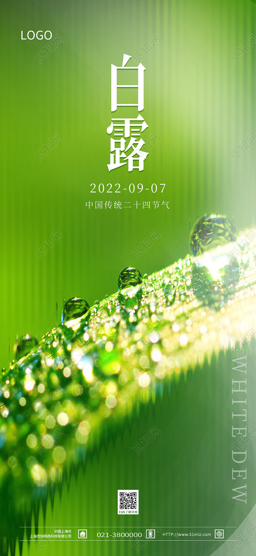 绿色简约白露二十四节气白露海报节日