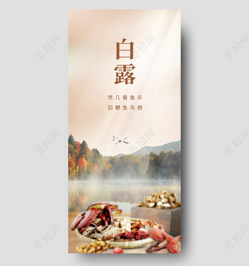 棕色简约中药二十四节气白露海报节日