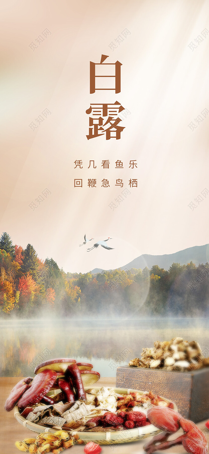 棕色简约中药二十四节气白露海报节日