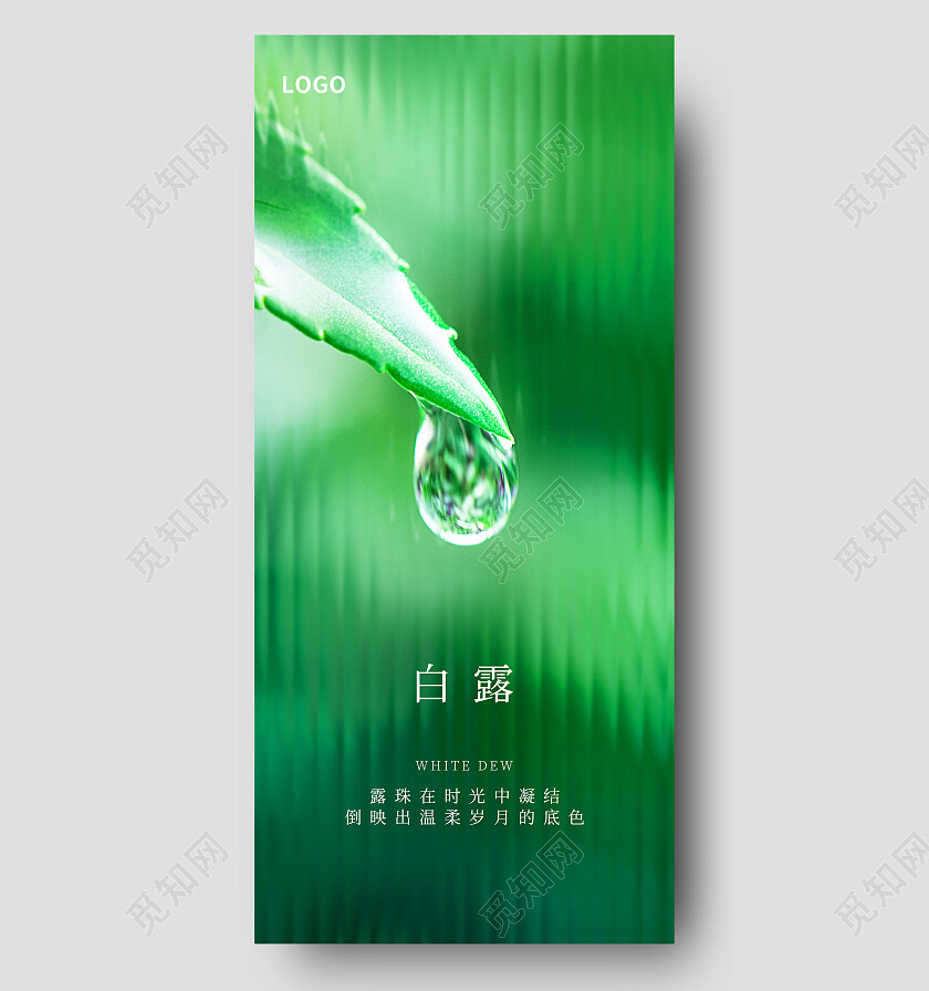绿色简约白露二十四节气传统节气白露海报节日