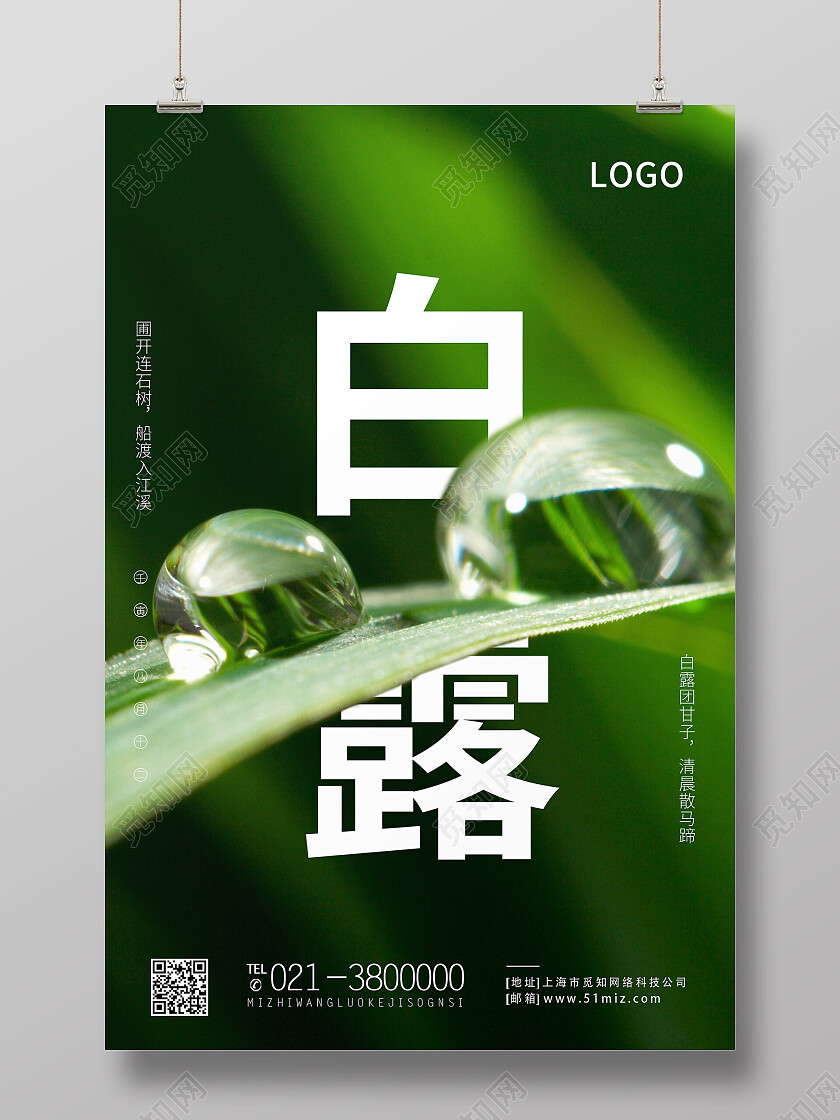 绿色简约白露二十四节气白露海报节日