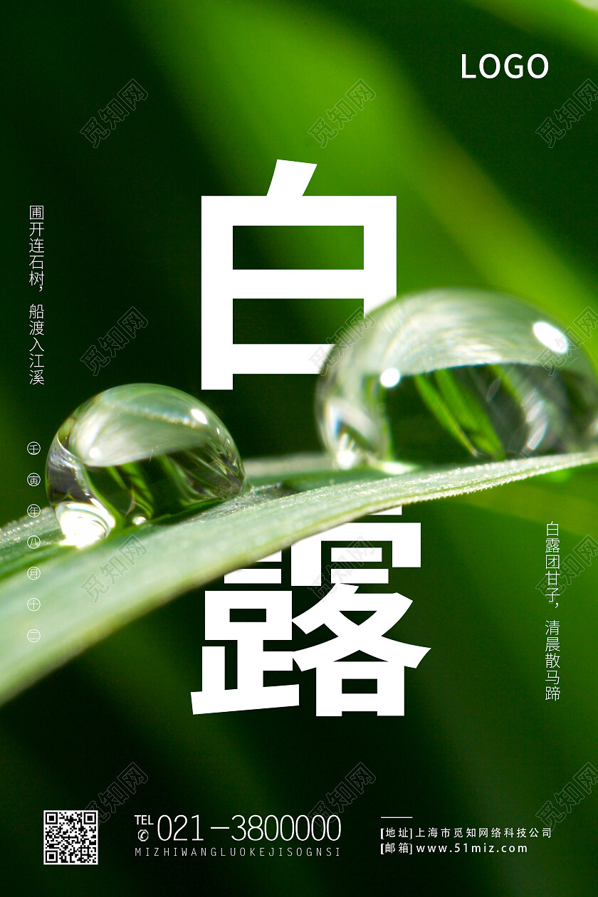 绿色简约白露二十四节气白露海报节日