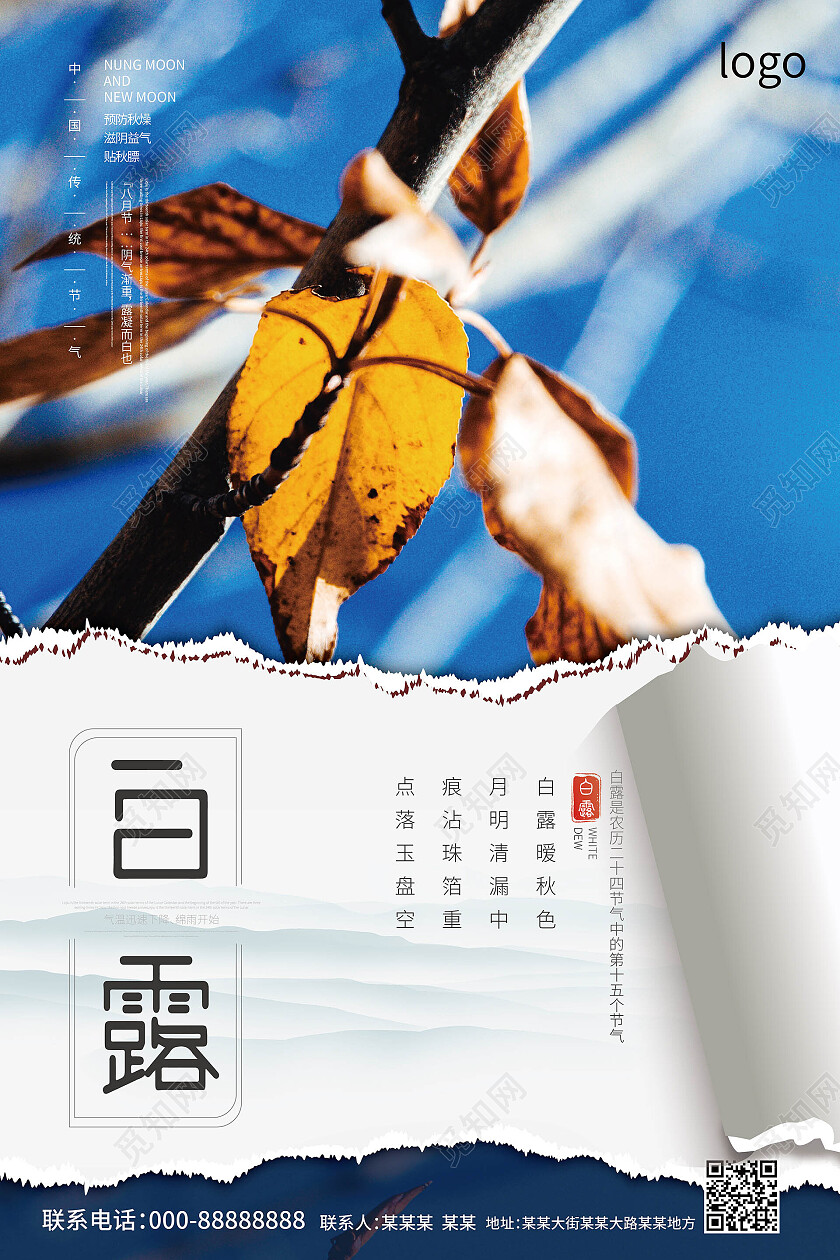 蓝色背景创意摄影风格白露节气二十四节气海报白露海报节日