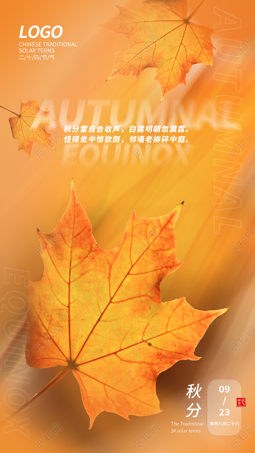 简约摄影风秋分手机海报