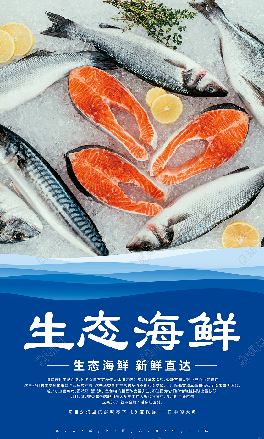 蓝色海鲜宣传生态海鲜种类丰富新鲜直达营养丰富套图