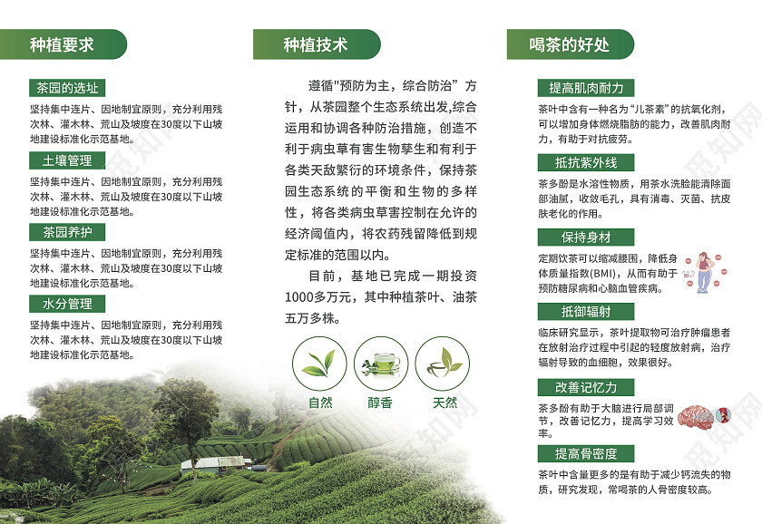 绿色简约大气风中国茗茶品鉴宣传册茶折页茶叶