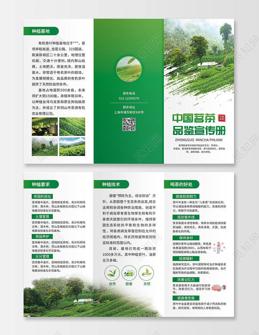 绿色简约大气风中国茗茶品鉴宣传册茶折页茶叶