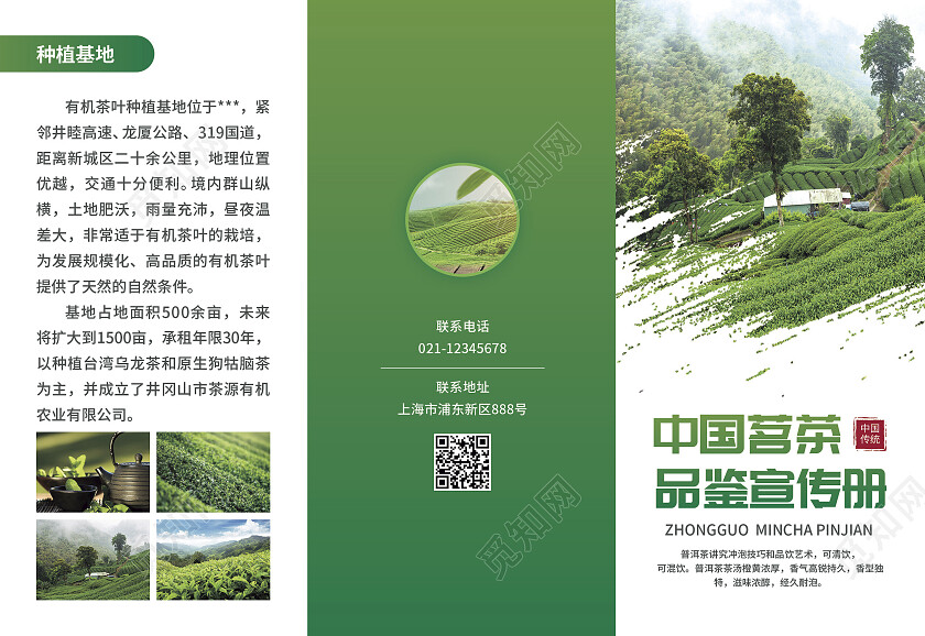 绿色简约大气风中国茗茶品鉴宣传册茶折页茶叶