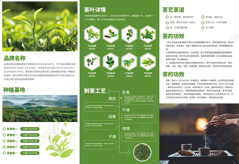 绿色简约大气风中国茗茶品鉴宣传册茶折页茶叶茶道