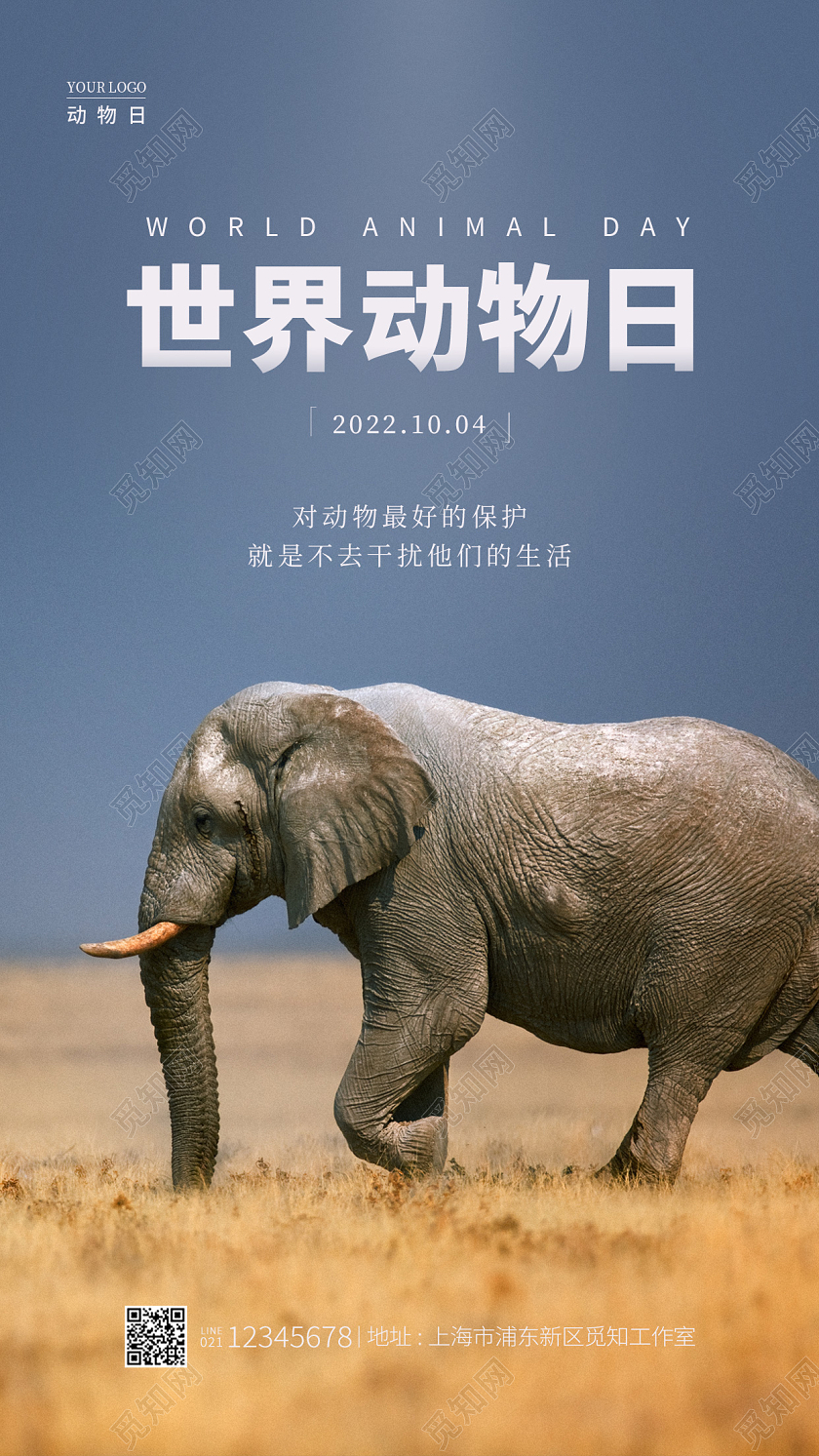 蓝灰色简约风世界动物日手机宣传海报