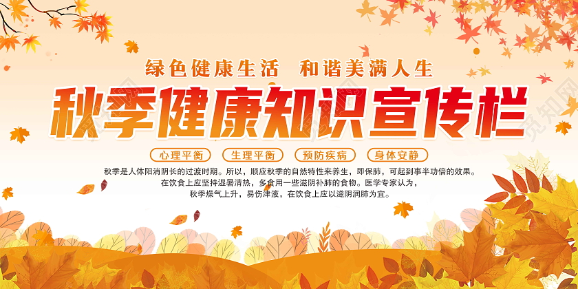 黄色背景秋季健康知识宣传栏展板