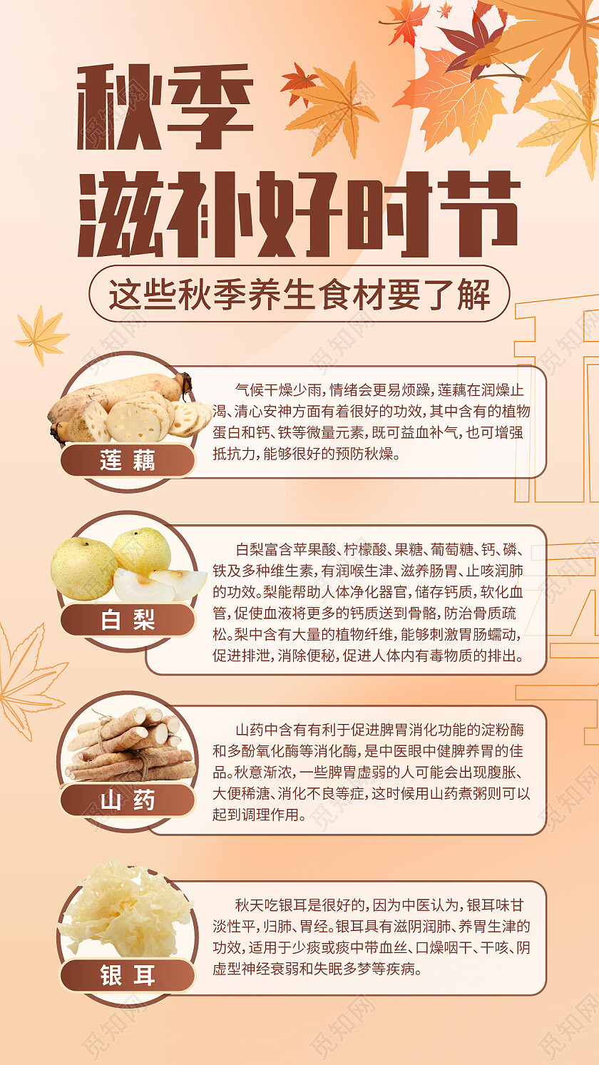 秋季滋补食材养生海报秋季养生