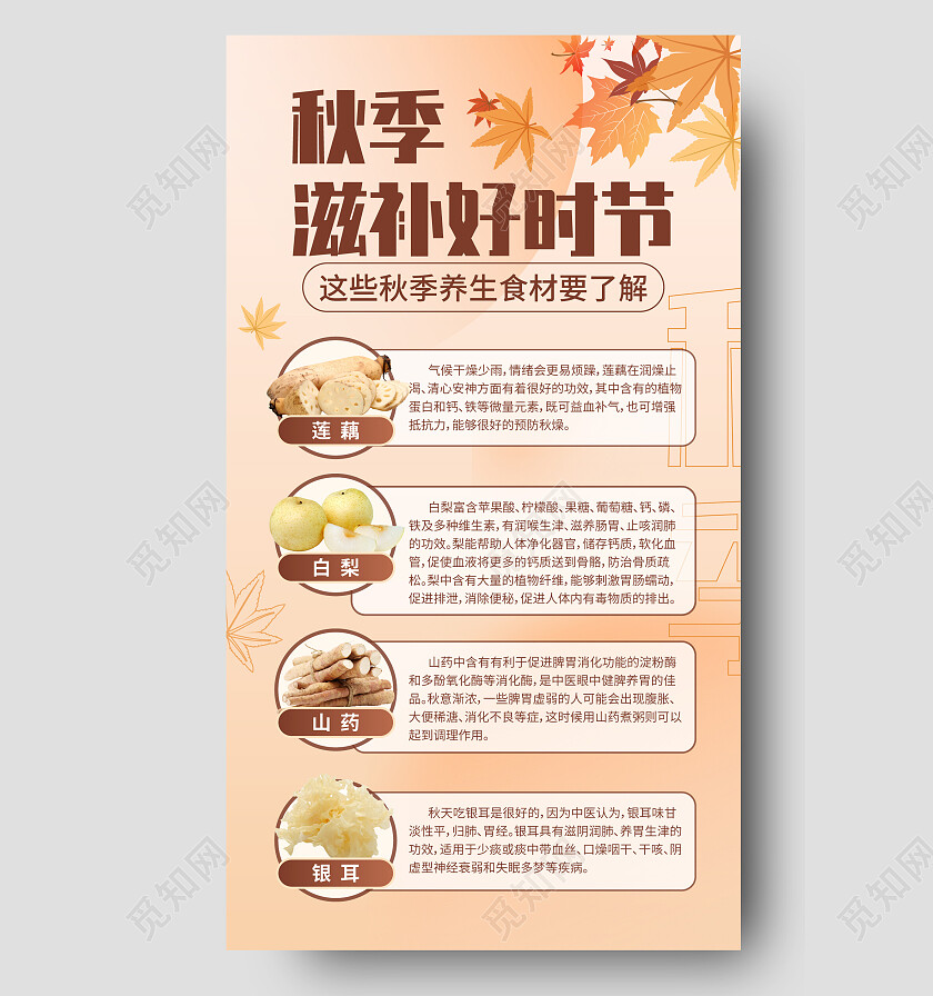 秋季滋补食材养生海报秋季养生
