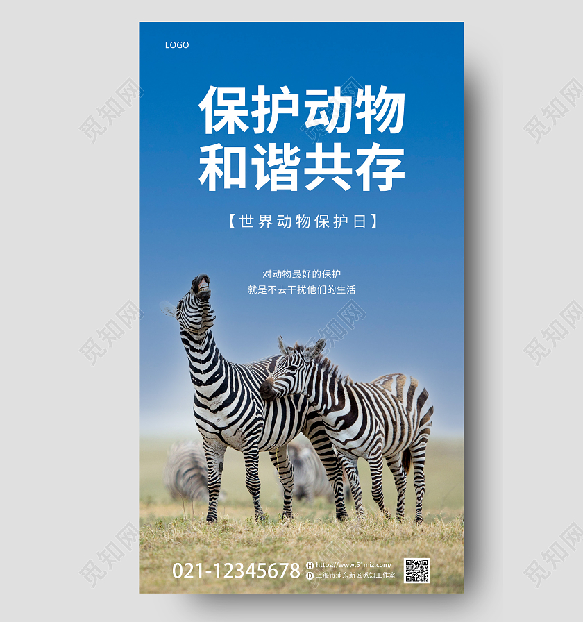 蓝灰色摄影图简约风世界动物日手机宣传海报