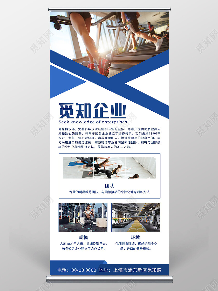 蓝色几何图形简约大气商务公司介绍展架易拉宝