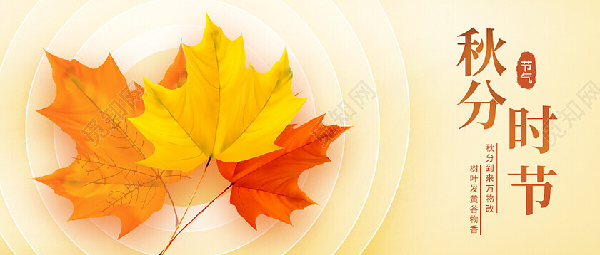 黄色简约秋分时节秋分首图节日